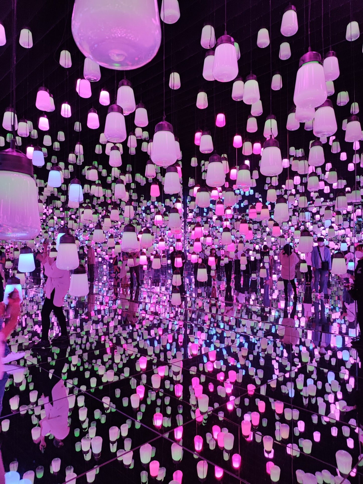 Tokyo | Private Highlights Day Tour with Certified Guide