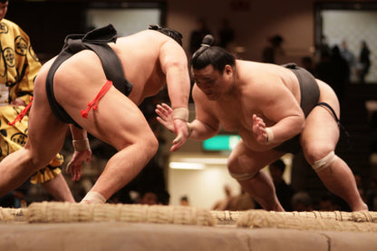 Premium Sumo Tournament Tour (A Class seats)