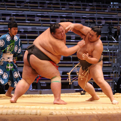 Premium Sumo Tournament Tour (A Class seats)