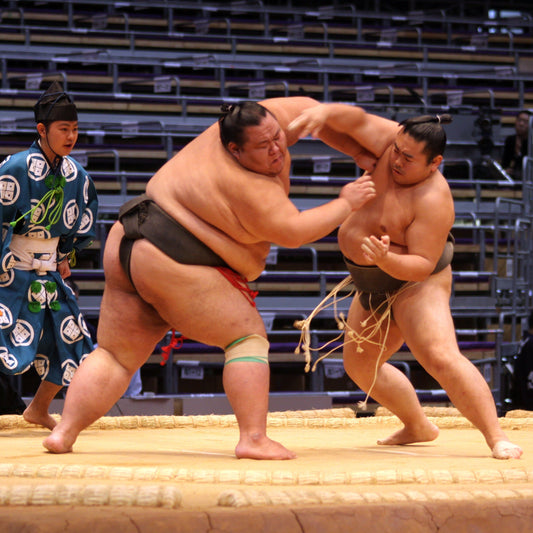 Watching sumo wrestling Tournament (S seat tickets)
