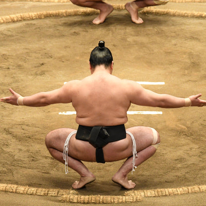 Premium Sumo Tournament Tour (A Class seats)